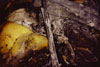 Accident 2