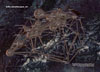 Info Landscape 1